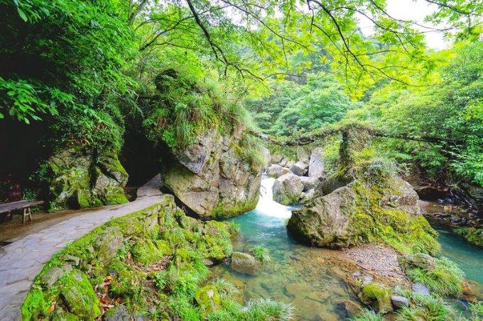 雷竞技比分